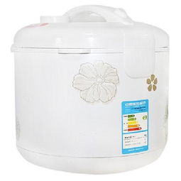 奥克斯WDF40-10B电饭煲 4L容量与实用设计的厨房之选